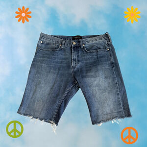 PacSun Slim Raw Hem Denim Shorts